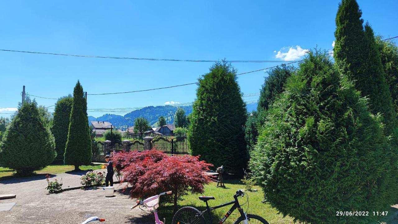 Apartmán Dariamaf Câmpulung Moldovenesc Exteriér fotografie