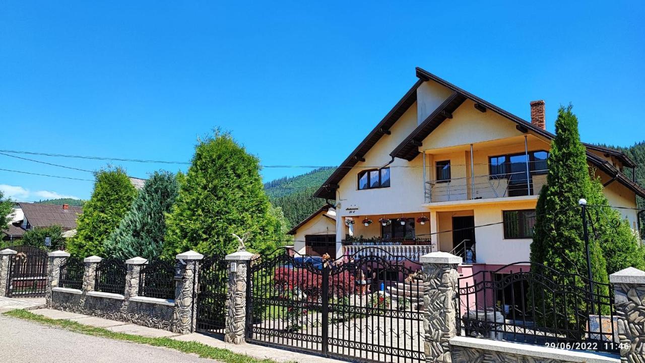 Apartmán Dariamaf Câmpulung Moldovenesc Exteriér fotografie